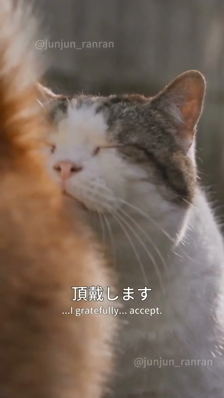 Tim 🙂⏹️🙂 on X: "ok japan is serving me weapons grade ai content holy shit" / X