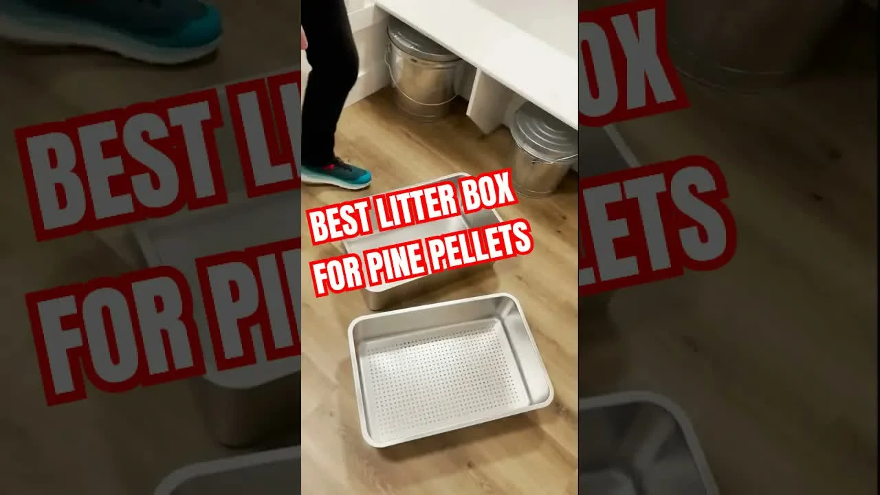 The Best Cat Litter Box for Pine Pellets